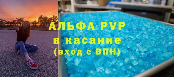 эйфоретик Алзамай